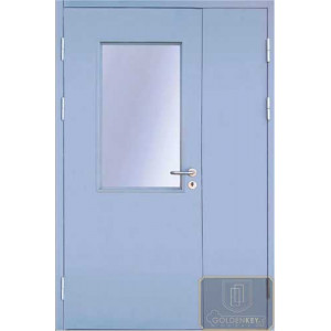 ДМП-21
